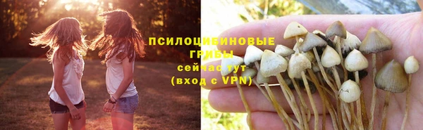 индика Верхний Тагил