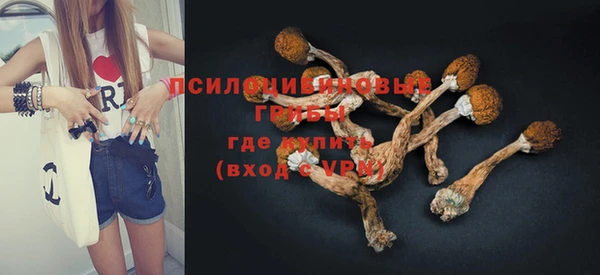 дурь Вязьма