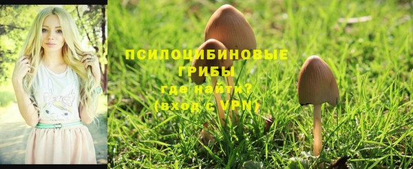 mdpv Вязники