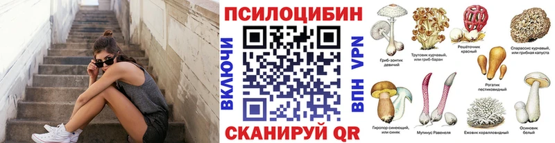 Псилоцибиновые грибы прущие грибы  Инза 