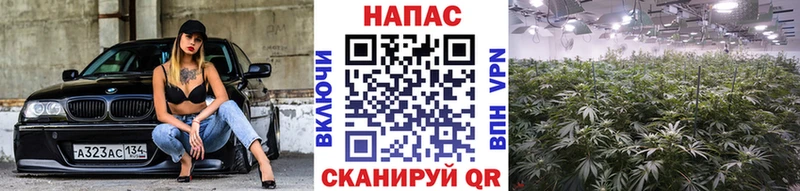 Конопля тримм Инза